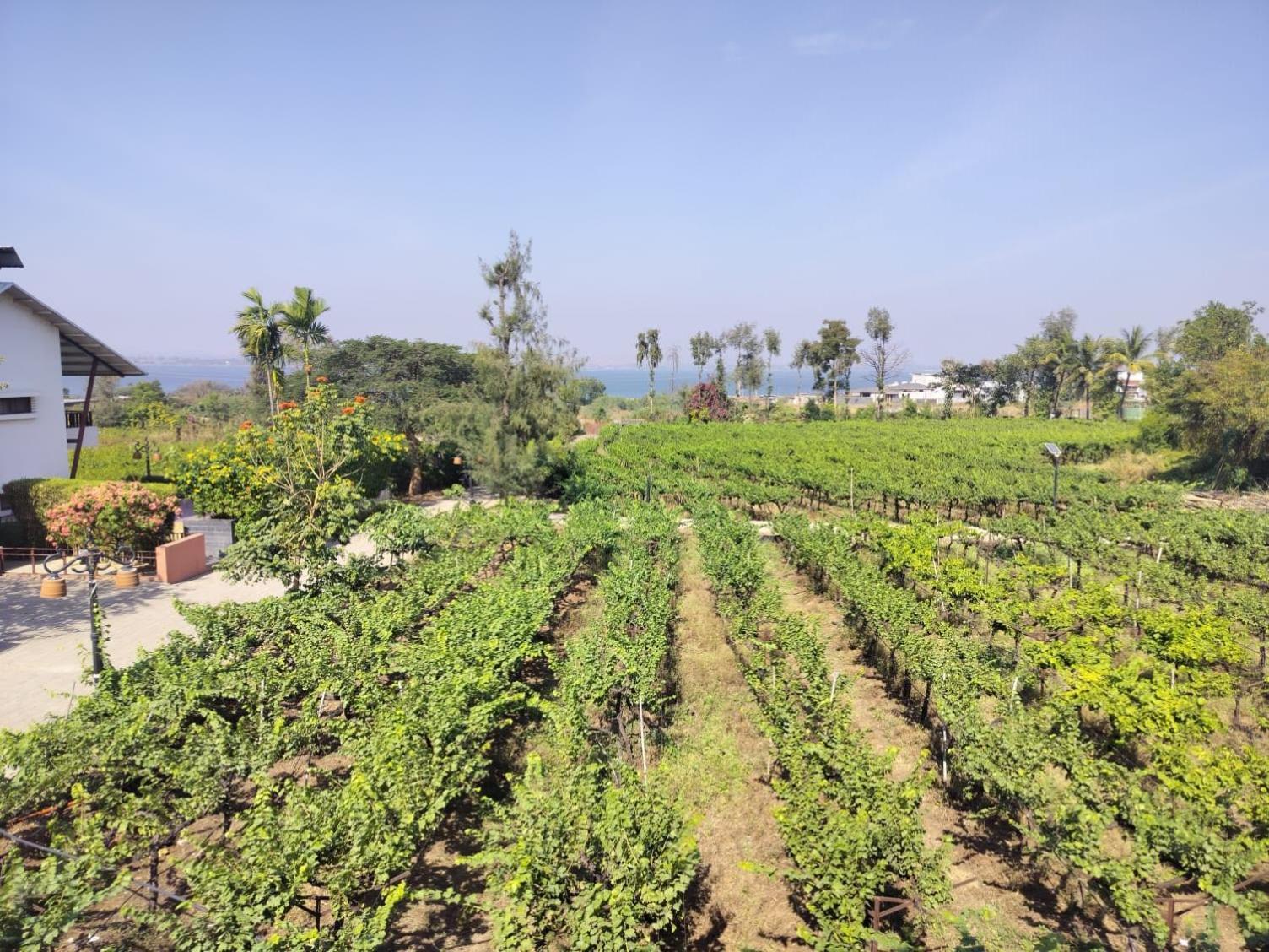 Soma Vineyard Resort -Nashik Exterior foto